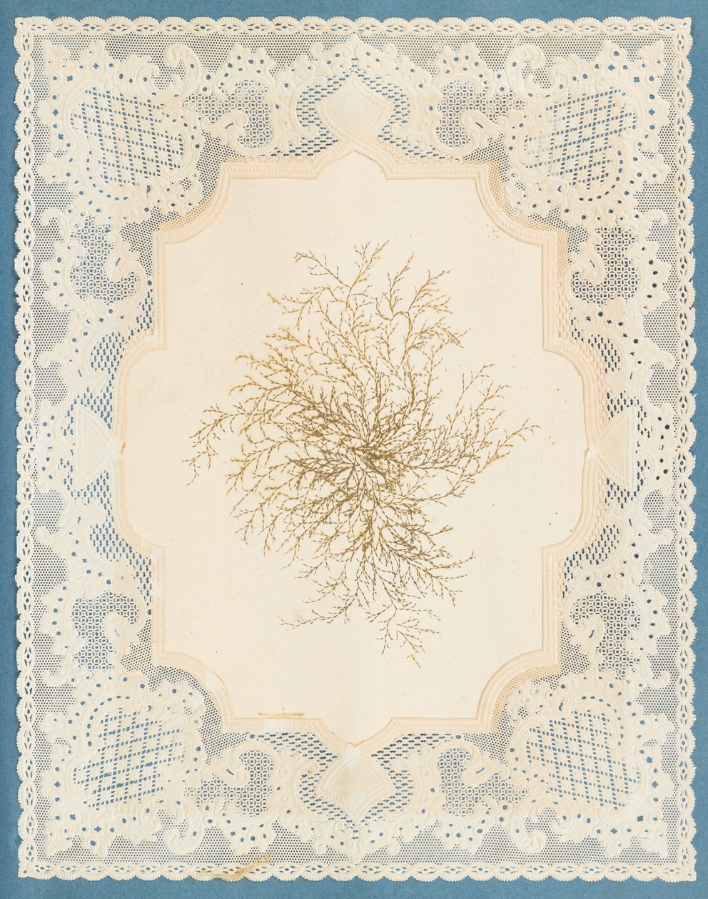 Tang af Eliza A. Jordson
