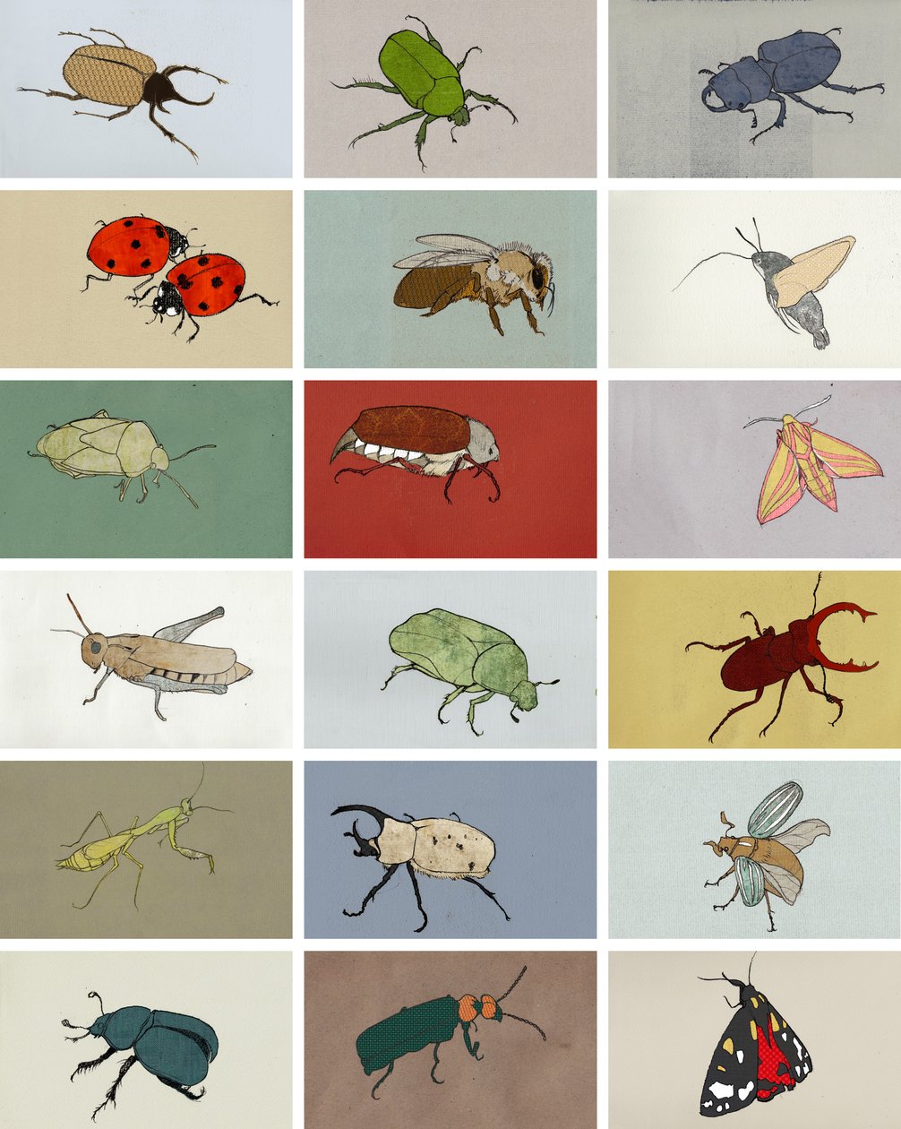 Insekter af Eliza Southwood