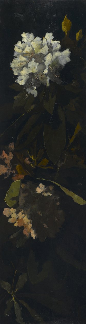Rhododendron af Elizabeth Boott Duveneck