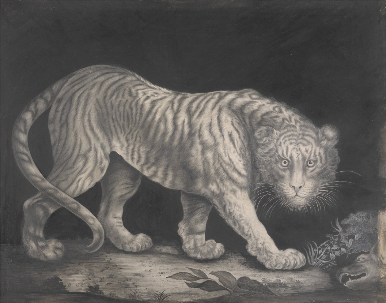 En springende tiger af Elizabeth Pringle