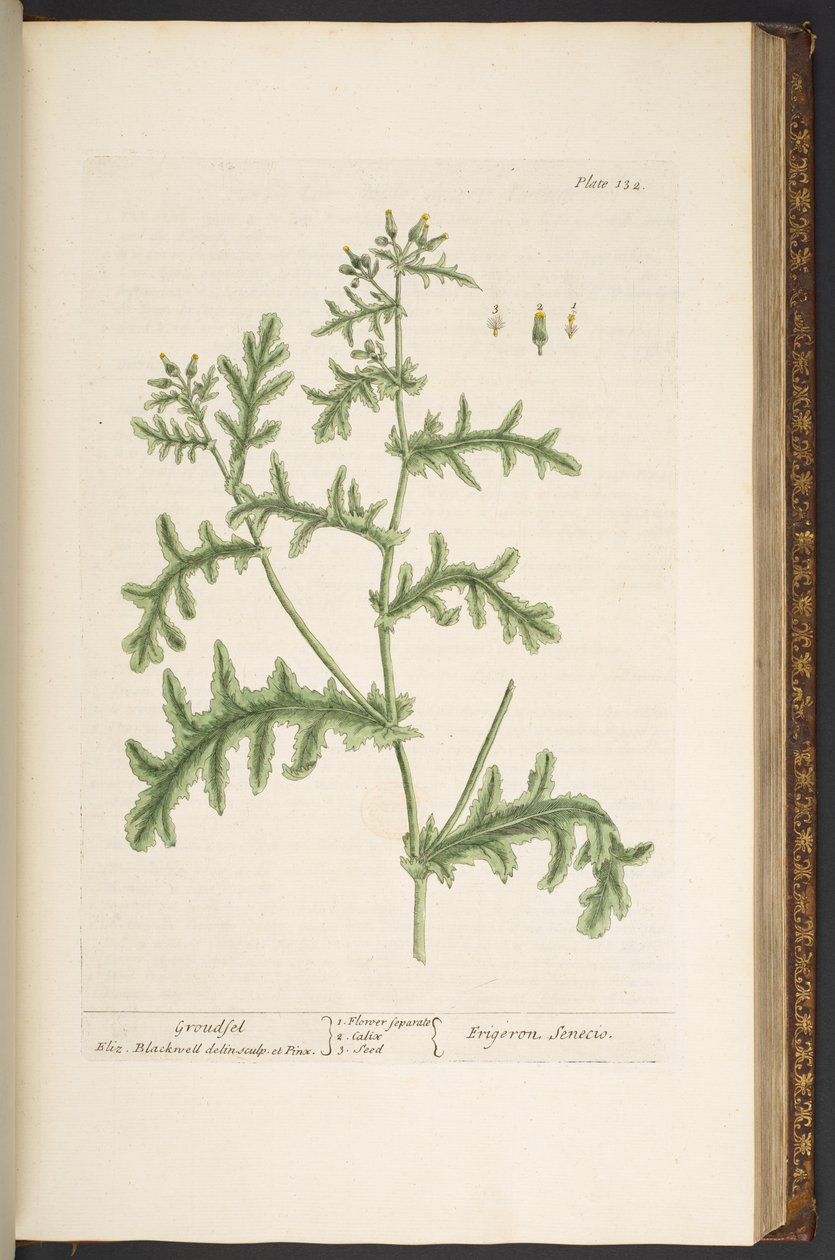 Tallerken 132, fra 