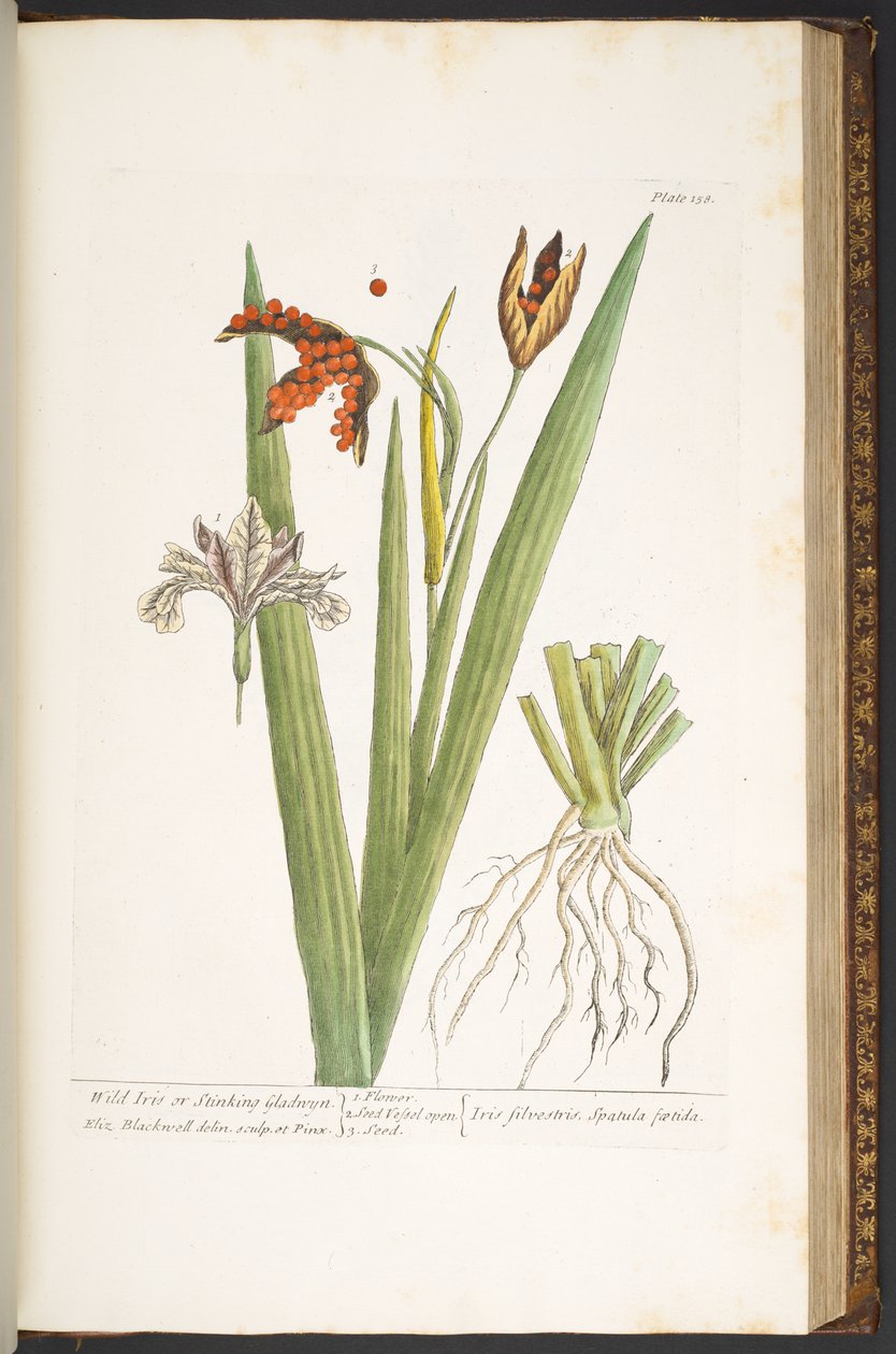 Tallerken 158, fra 