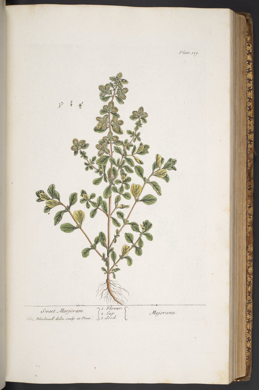 Tallerken 319, fra 