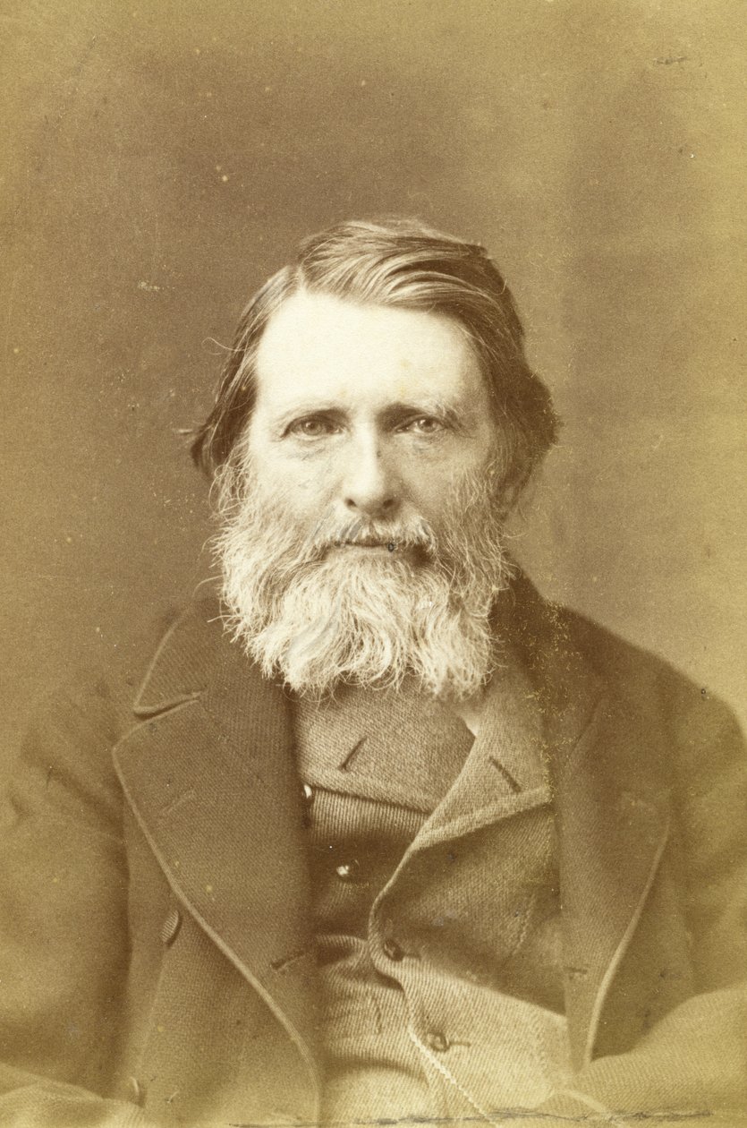 John Ruskin, 1882 (albumin print) af Elliott und Fry Studio