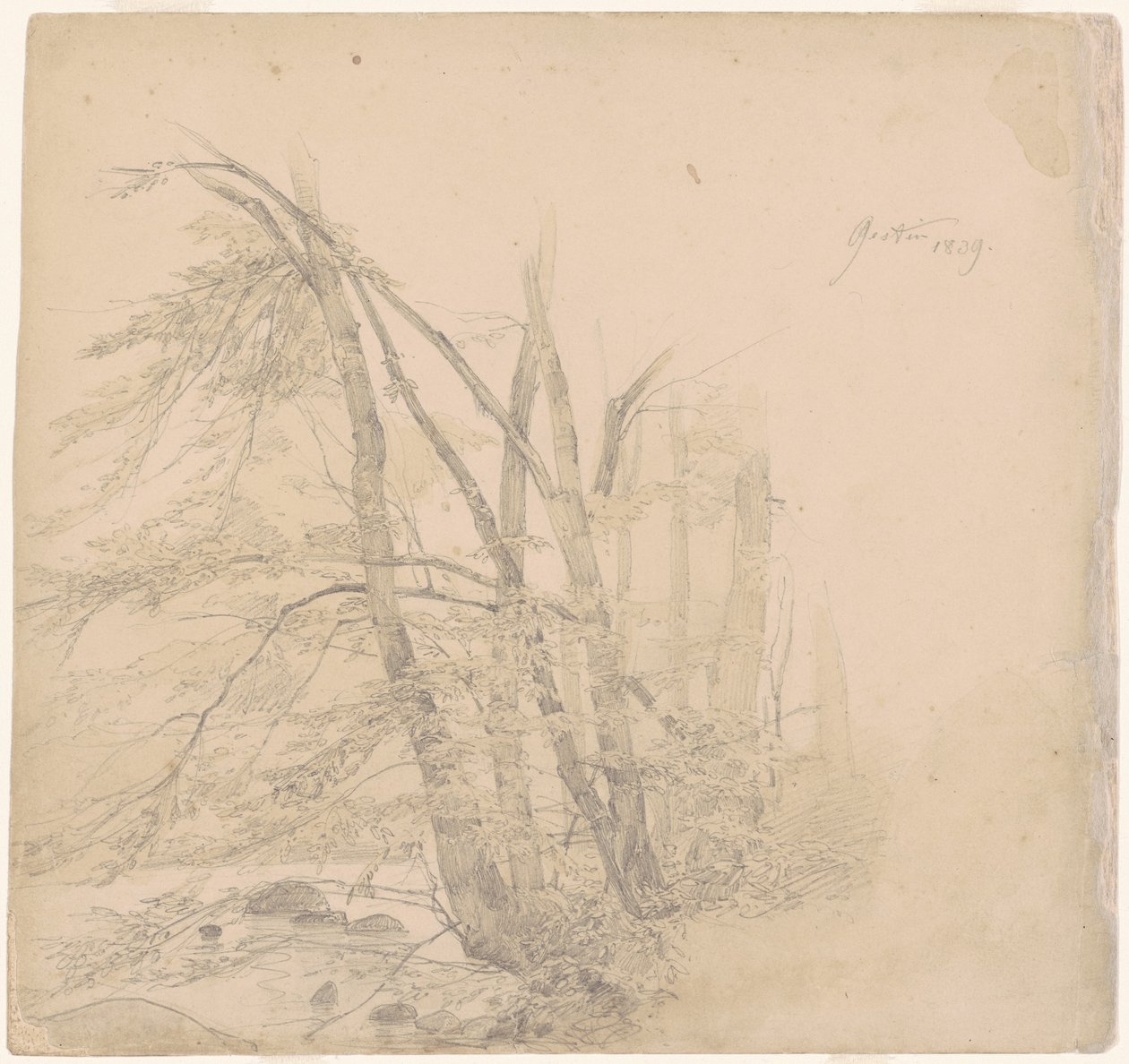 Ledelse af Emanuel Gottlieb Leutze