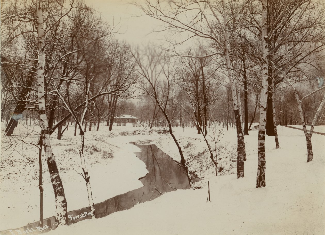 Vinterscene i Forest Park med å, der skærer gennem sneen af Emil Boehl
