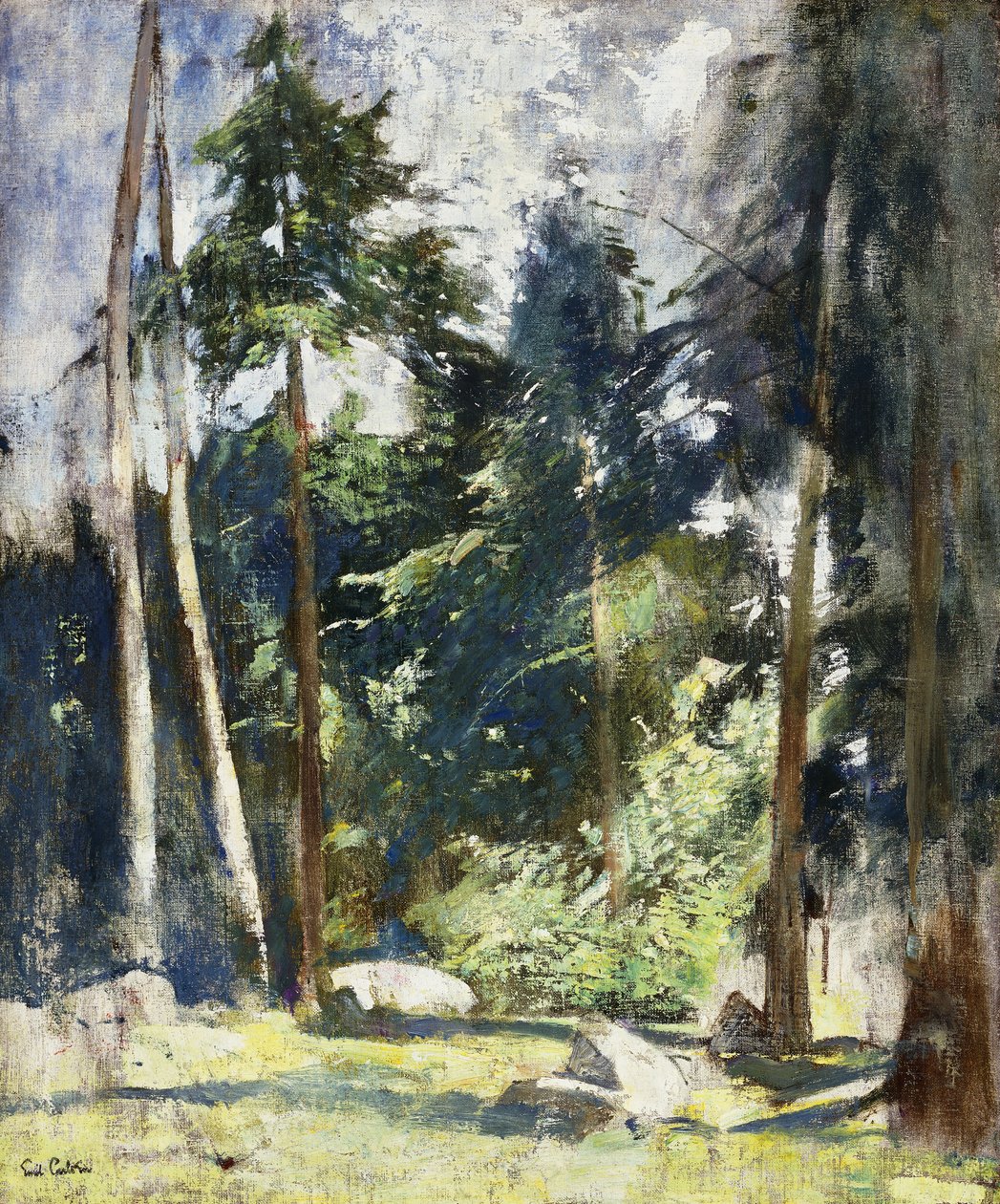 høje fyrretræer af Emil Carlsen
