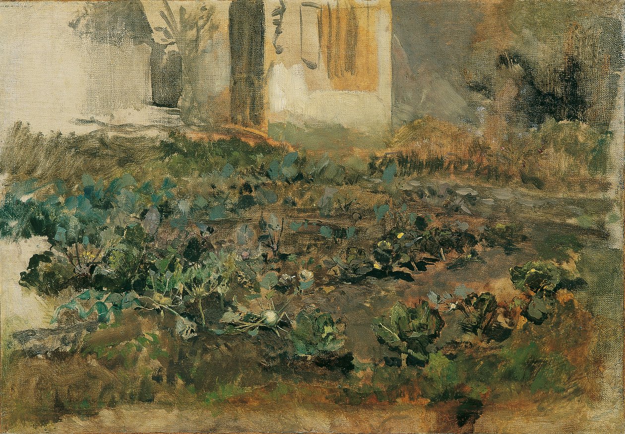 Kohlrübenfeld af Emil Jakob Schindler