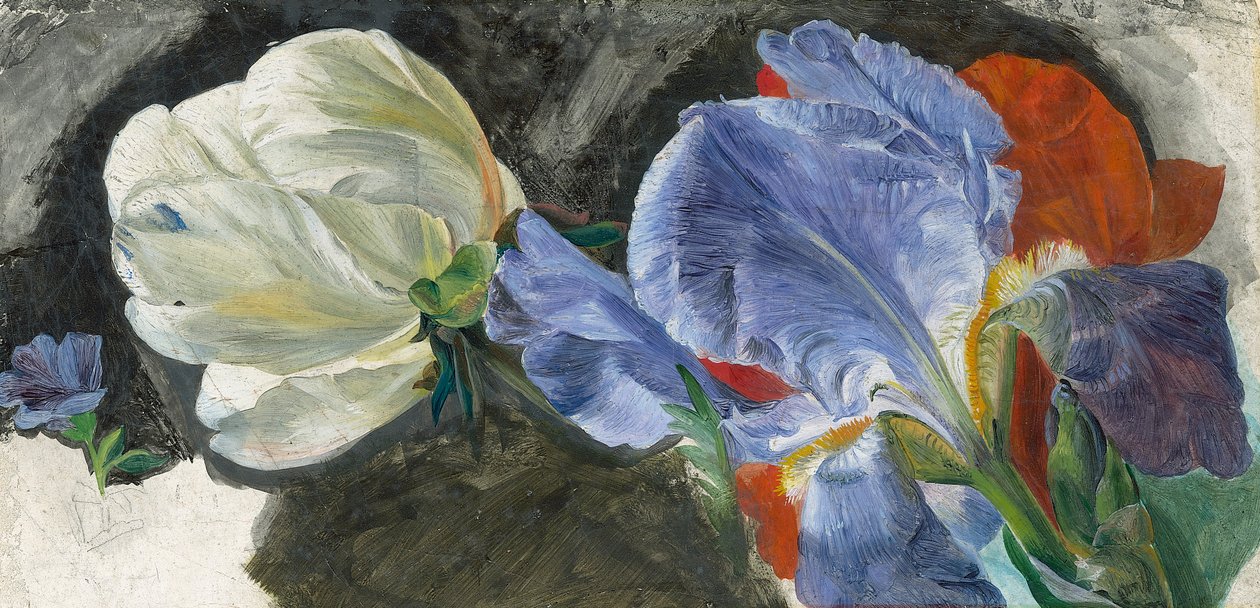 Et studie af blomster (olie på papir) af Emily Stannard