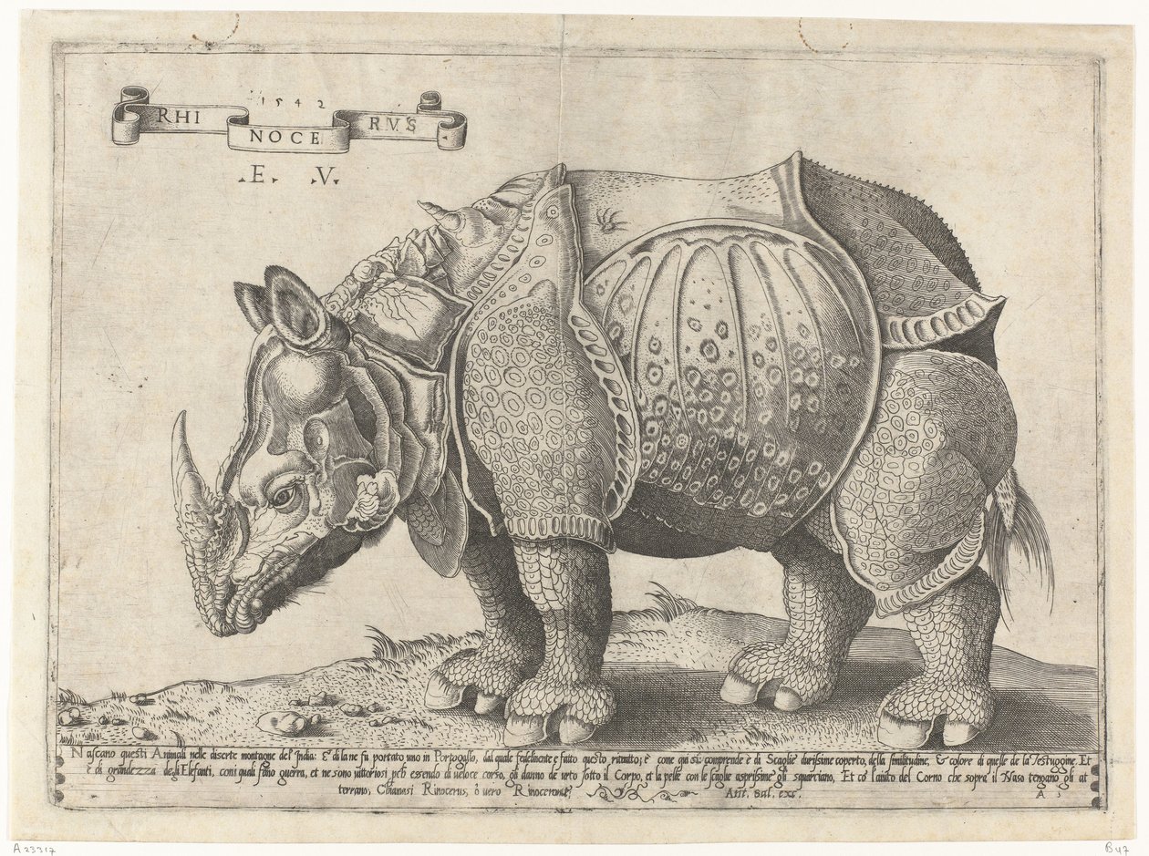 Neushoorn Rhinocerus (titel på objekt) af Enea Vico