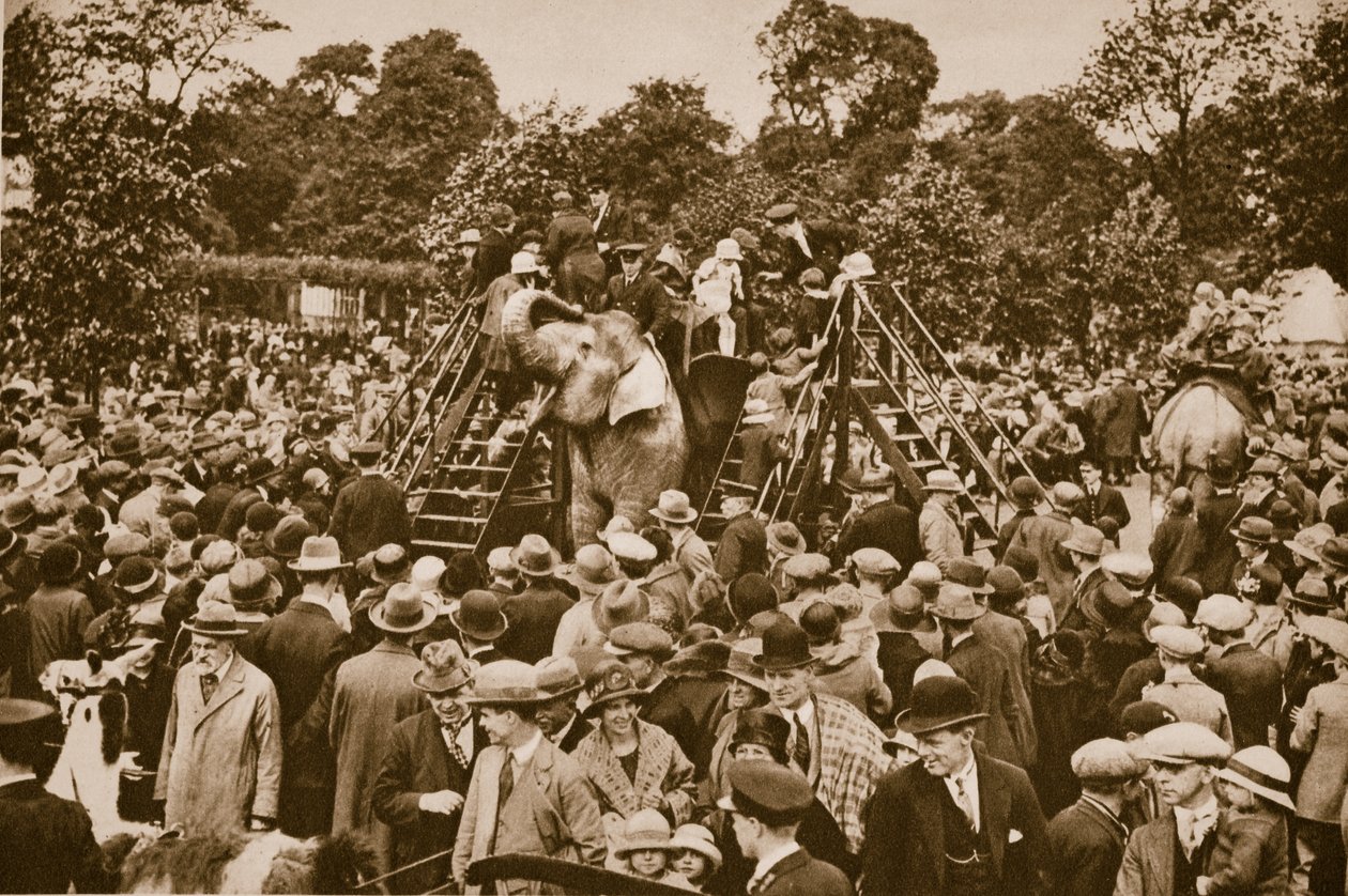 Dyreture i London Zoo (sepia-billede) af English Photographer