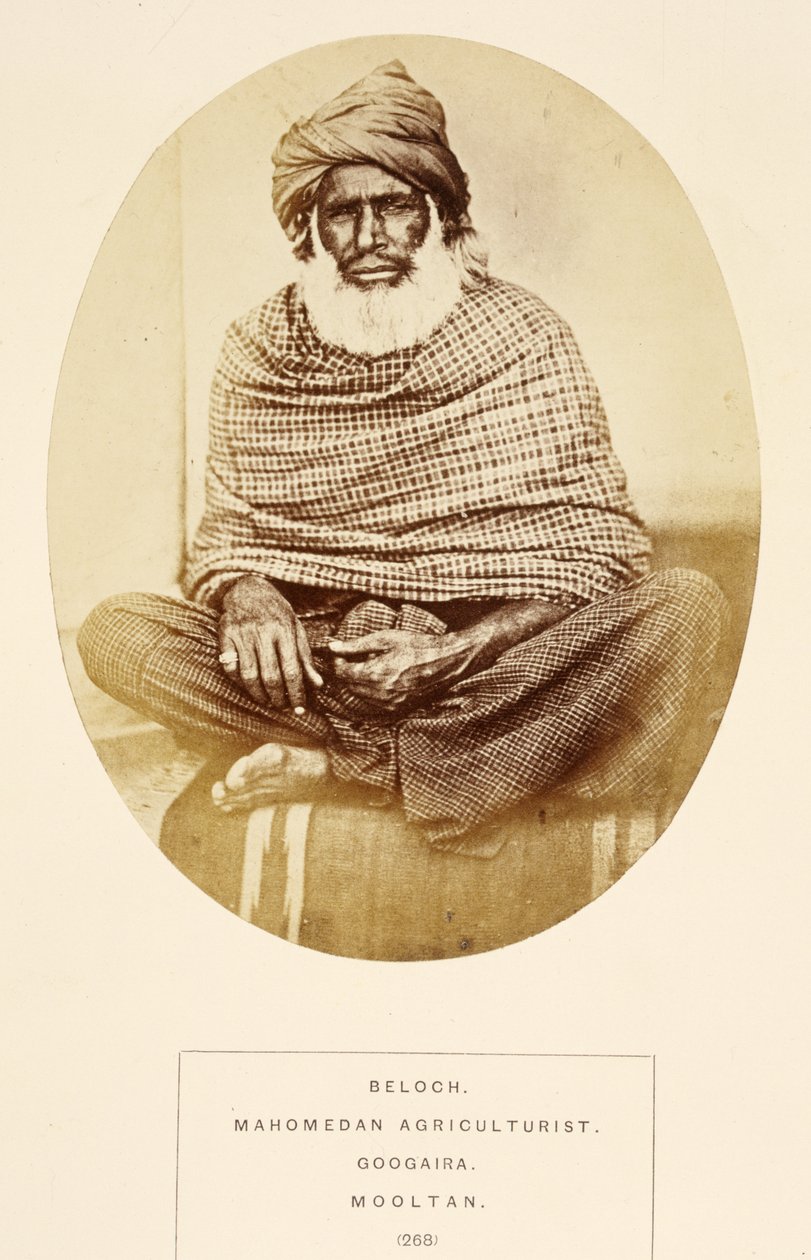 Beloch, Mahomedan Agriculturist, Googaira, Mooltan, fra The People of India, af J. Forbes Watson, udgivet 1868 (albummet tryk) af English Photographer