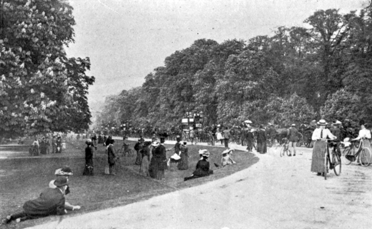 Generelt billede af Bushey Park, illustration fra The King, 25. maj 1901 af English Photographer