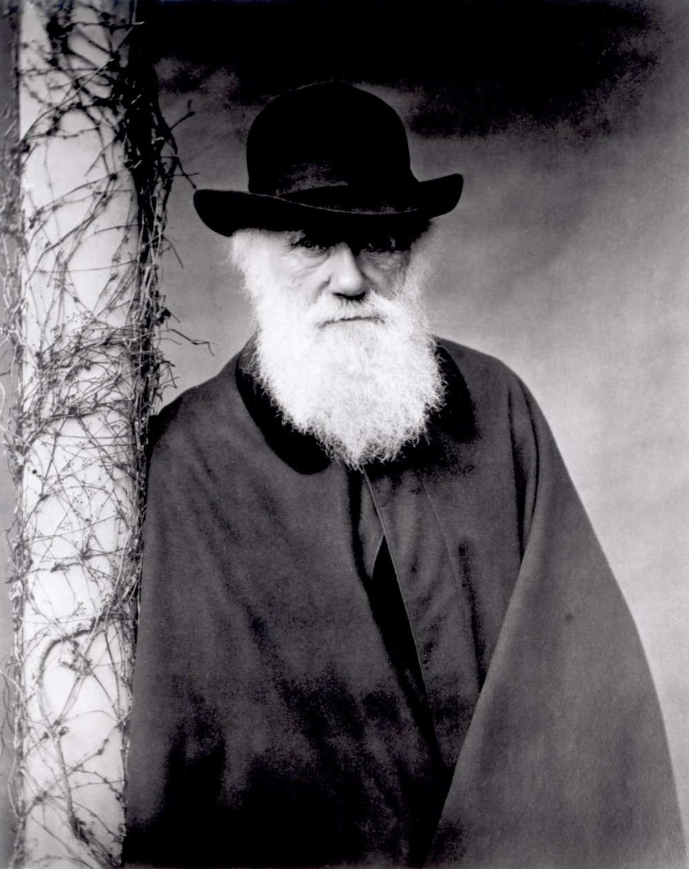 Portræt af Charles Darwin, 1881 af English Photographer