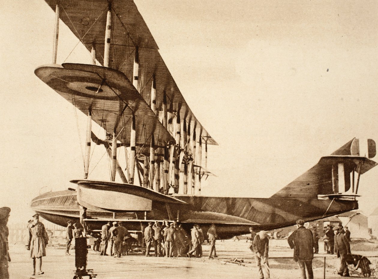 Sidebillede af et fly, 1914-19 af English Photographer
