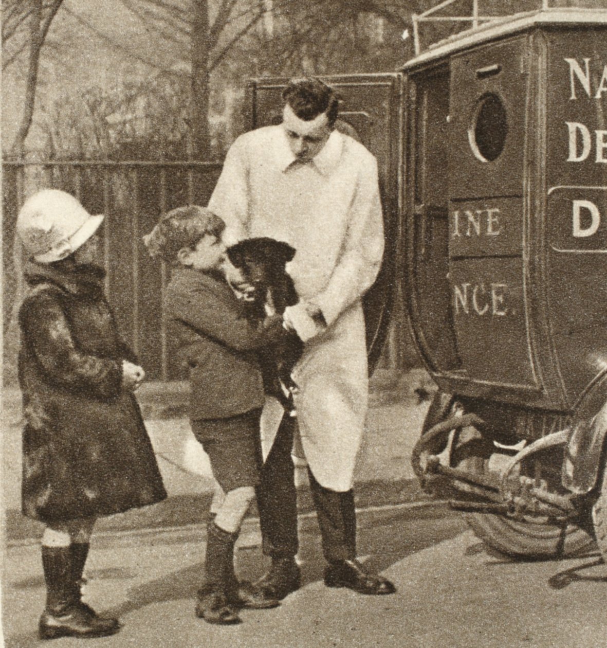 Dyrlægen fra Fulham-afdelingen af The Peoples Dispensary for Sick Animals, fra Wonderful London, udgivet 1926-27 (fotogravure) af English Photographer