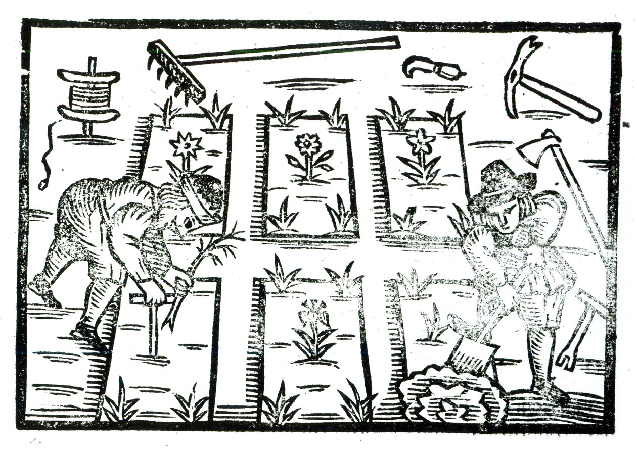 Illustration fra en bog om havearbejde af English School