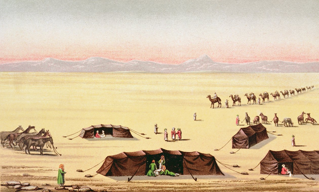 Our Desert Camp (farvegravering) af English School