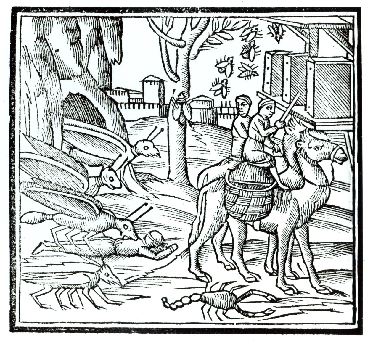 Repræsentation af pesten, 1572 af English School