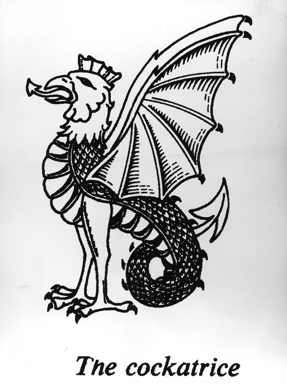 The Cockatrice af English School