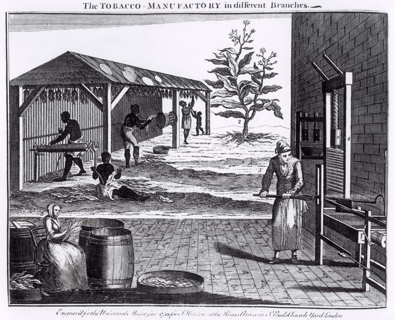 Tobaksfabrikken i forskellige filialer, indgraveret til Universal Magazine, 1750 (se også 126979) af English School