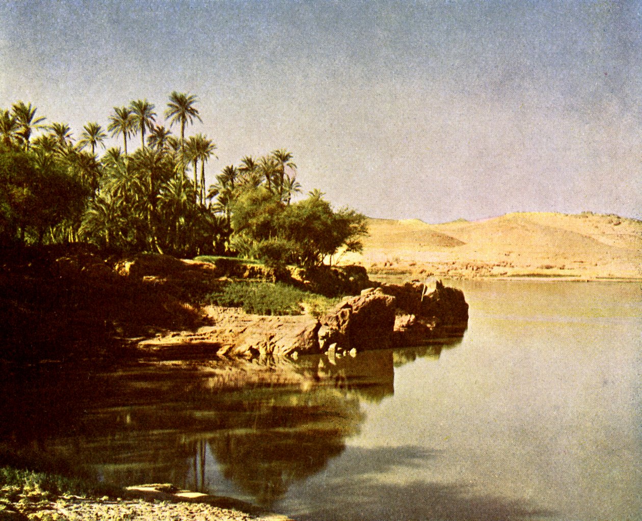 Elephantine af English Photographer