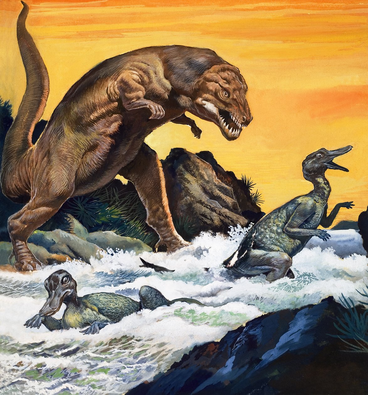 Tyrannosaurus Rex, fra 