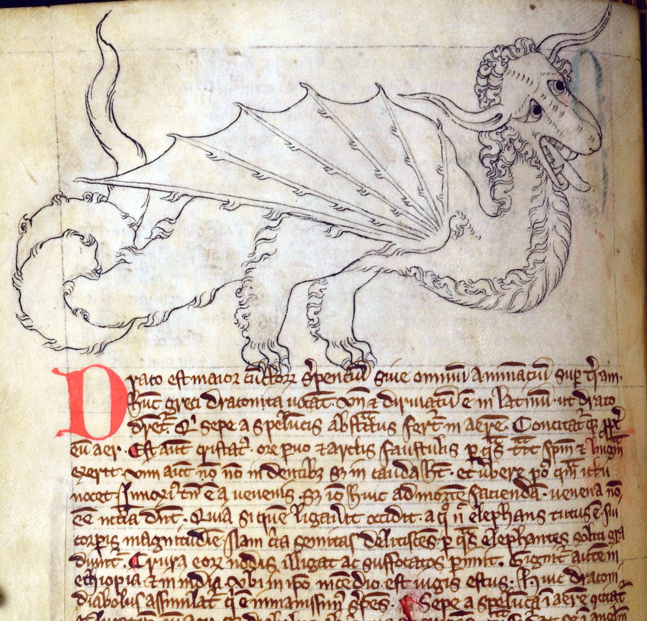 CCA-LitMs/D/10 fol. 24v Dragon, fra Bestiary af English School