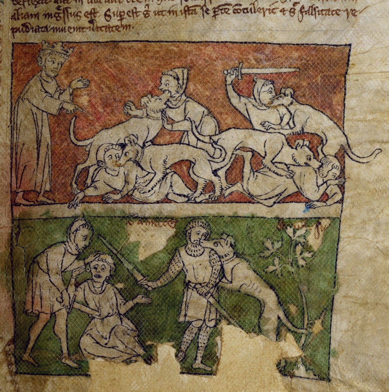CCA-LitMs/D/10 fol. 6r Dog, fra Bestiary af English School