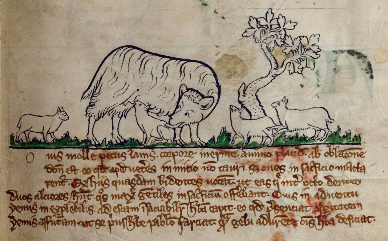 CCA-LitMs/D/10 fol. 8r Får, fra Bestiary af English School