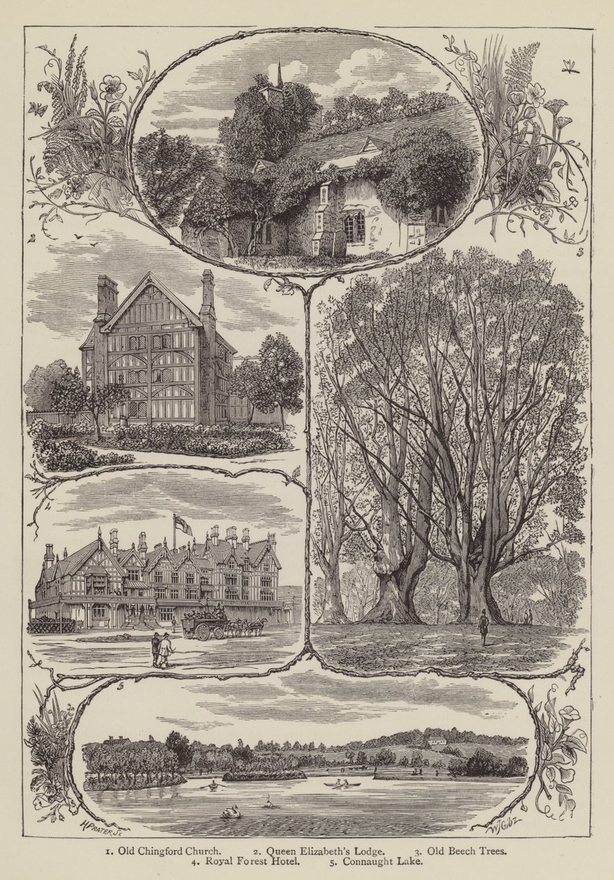 Chingford (gravering) af English School