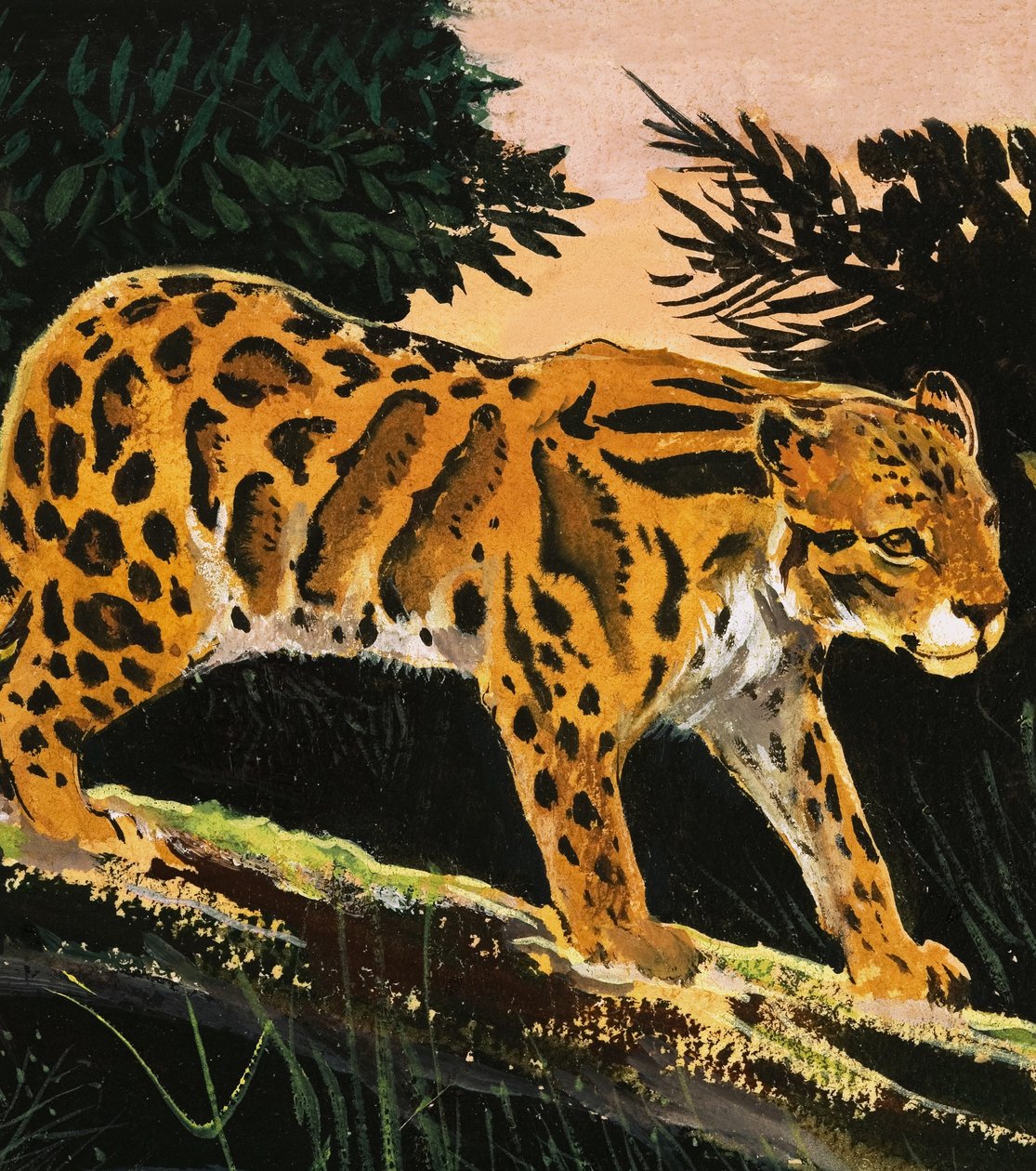 Overskyet leopard af English School