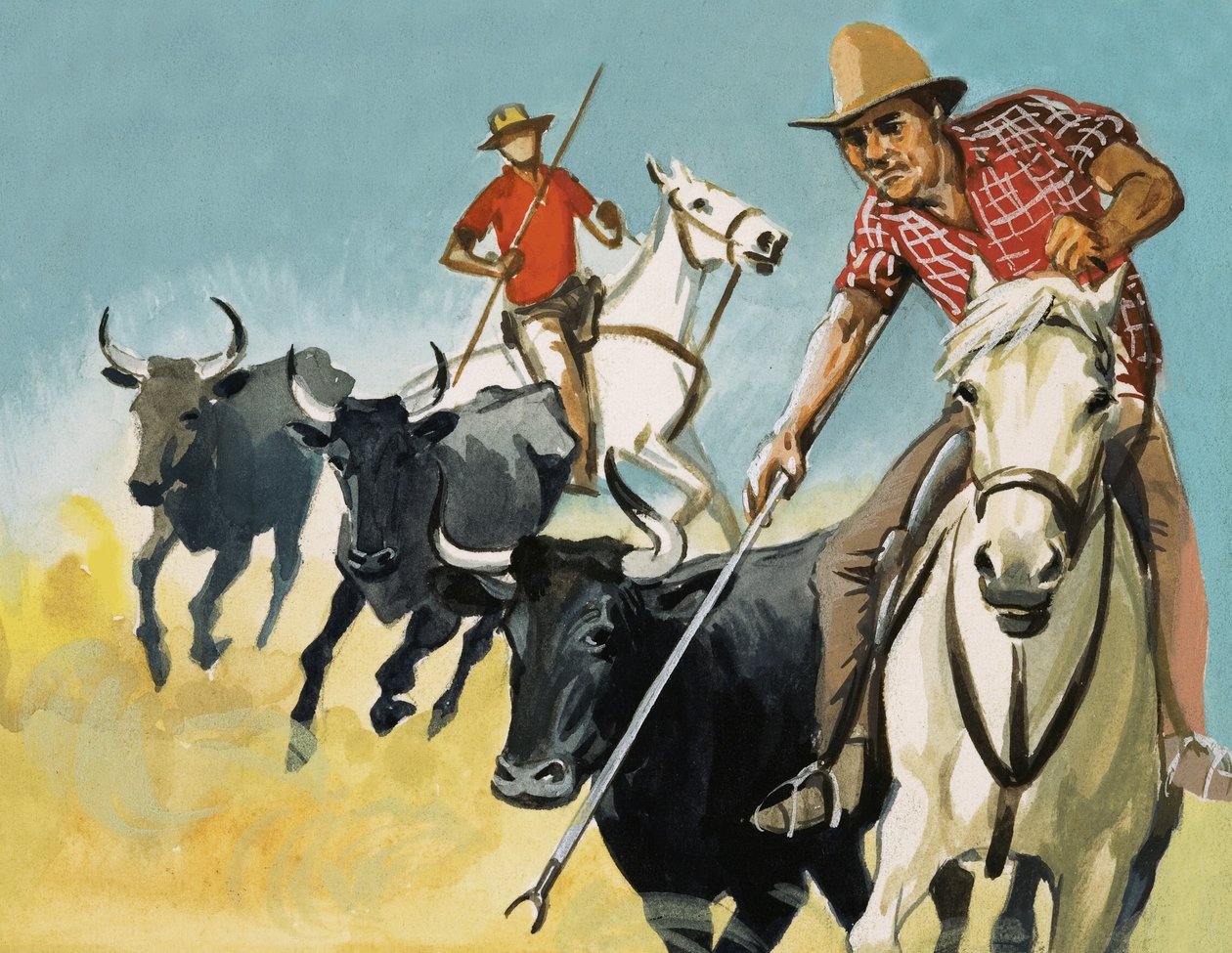 Gardians i Camargue af English School