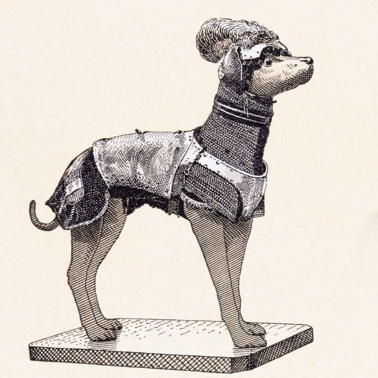 Hund i rustning (farvet indgravering) af English School
