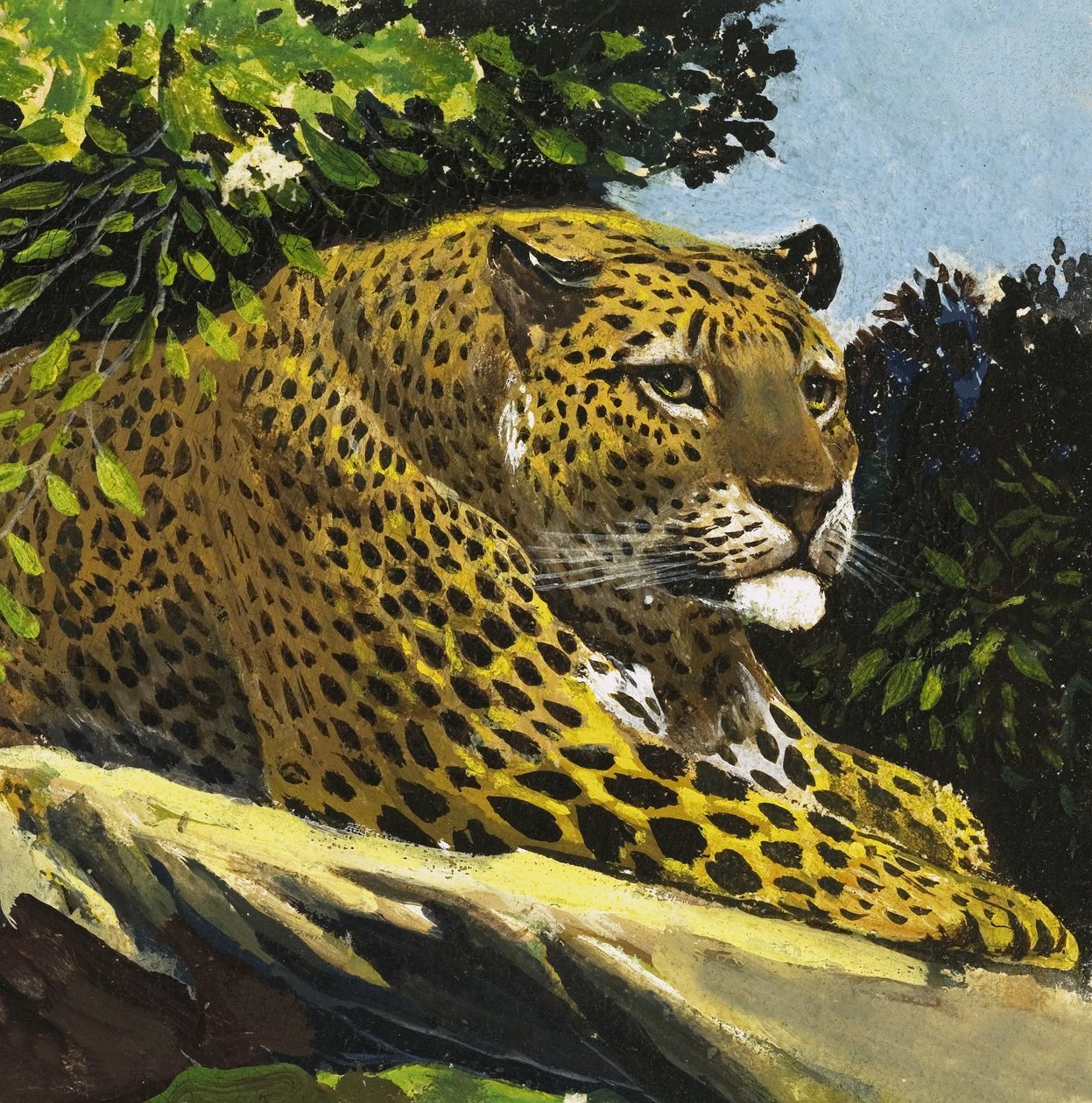 Leopard af English School