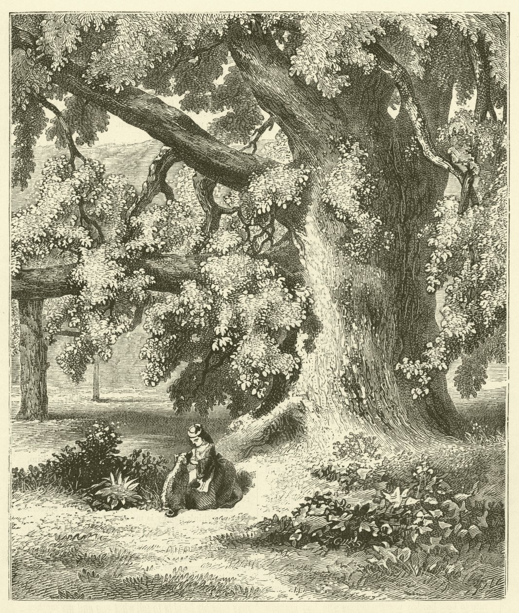 Det gamle valnøddetræ ved Mentmore (gravering) af English School