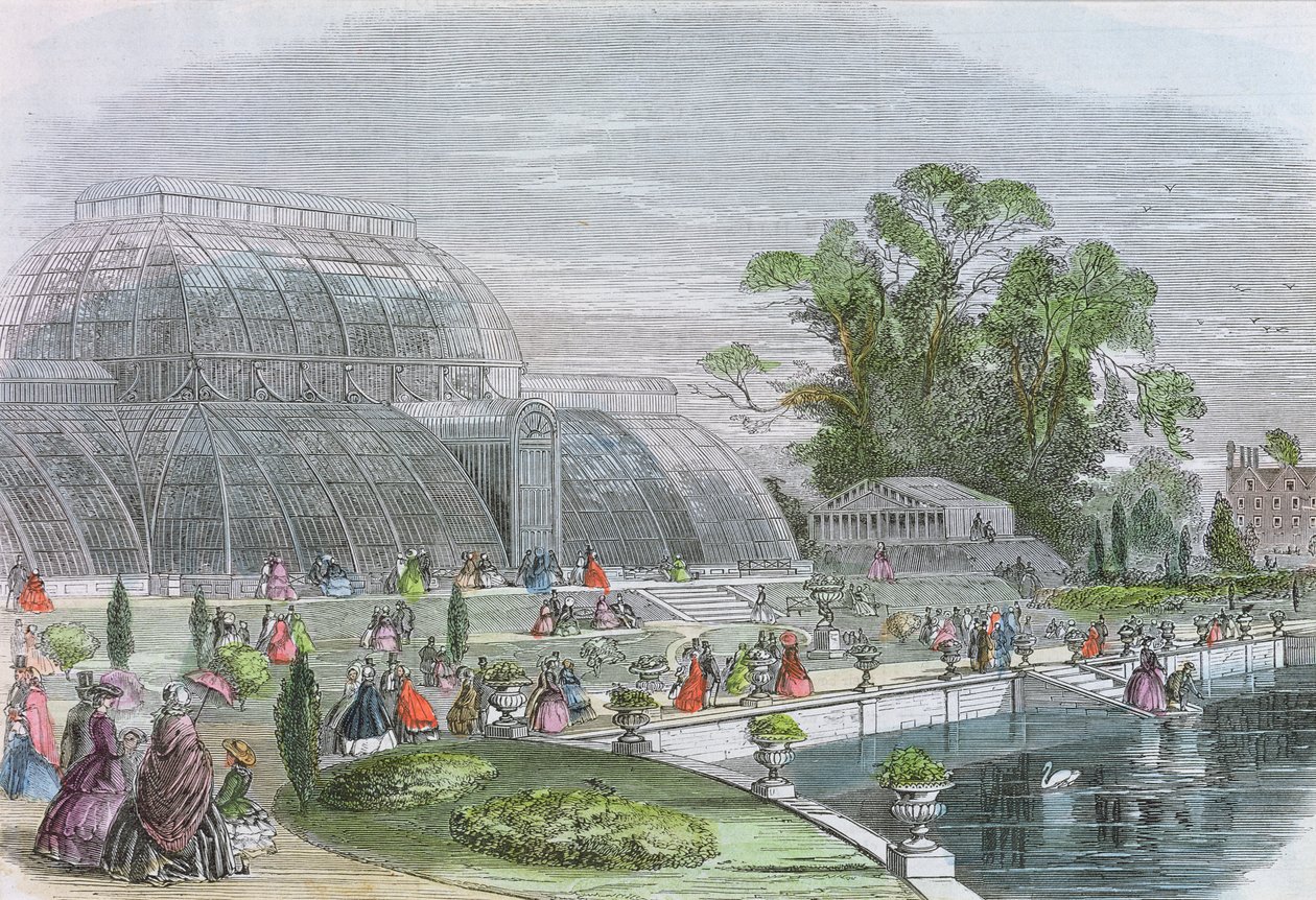 Palm House, Kew (gravering) af English School