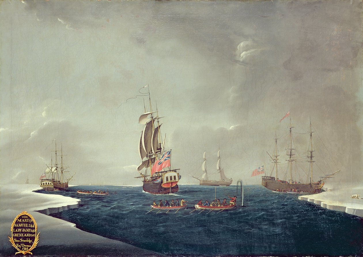 Sir Samuel Standidges hvalfangstflåde af English School