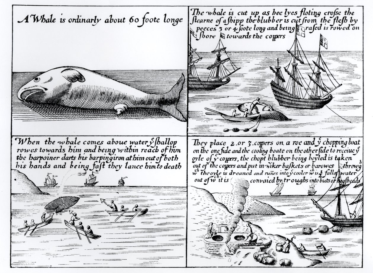 Hvalfangst ved Spitzbergen i 1611 af English School