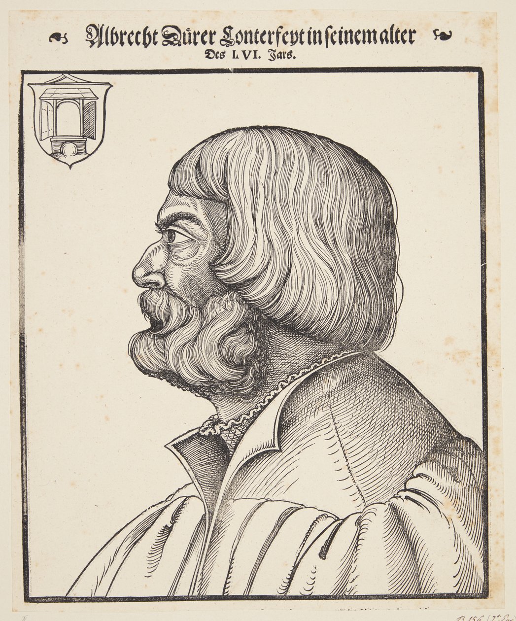 Albrecht Dürer af Erhard Schon