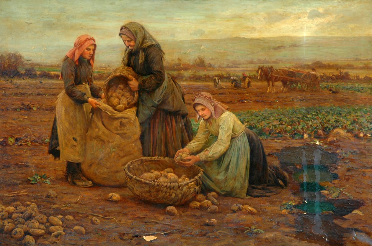 Kartoffelplukkerne (olie på lærred) af Ernest Higgins Rigg