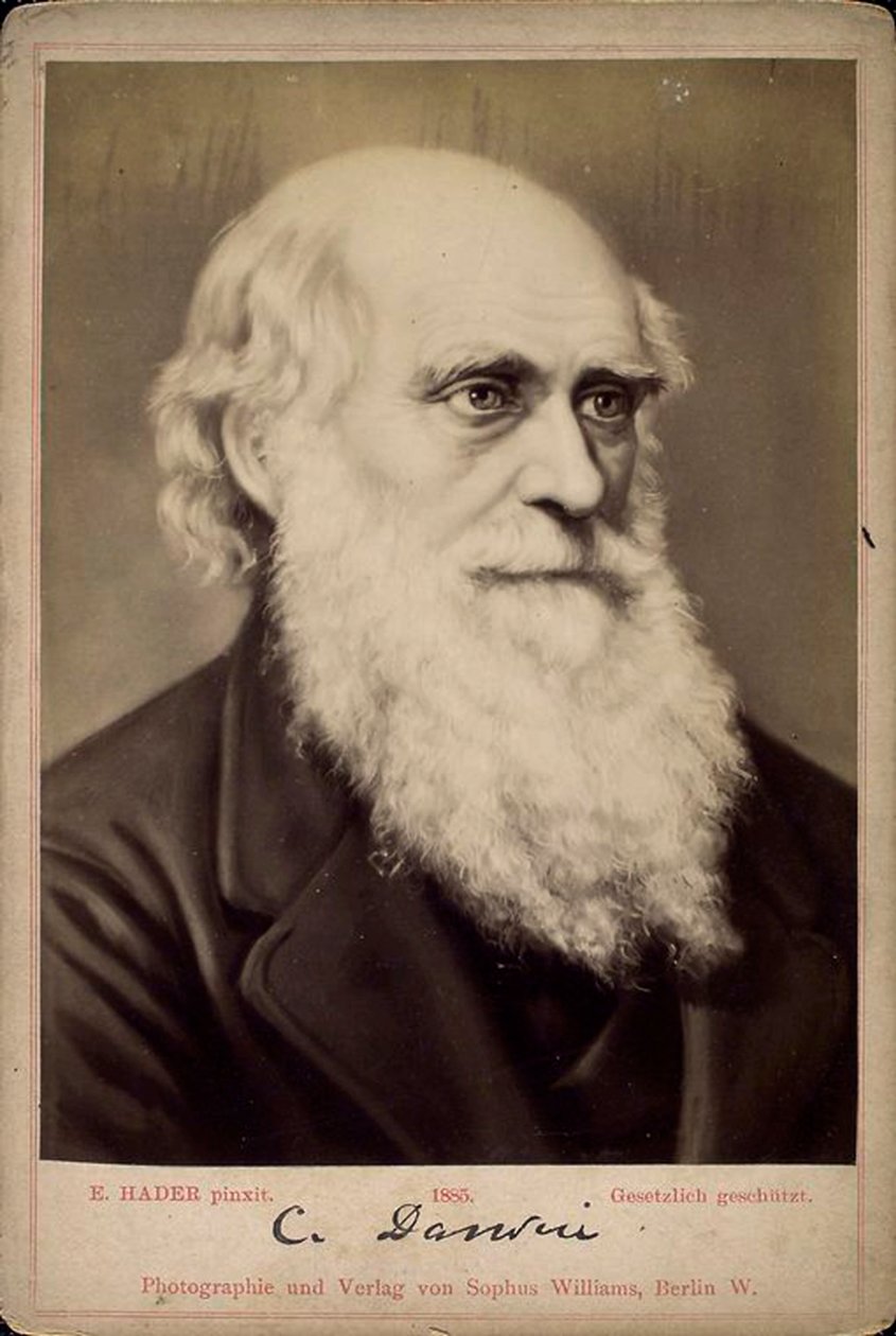 Charles Darwin, britisk naturforsker, c1860