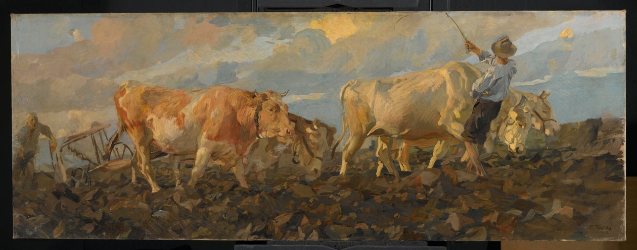 Oxen Ploughing, 1911 (olie på linned) af Ettore Tito