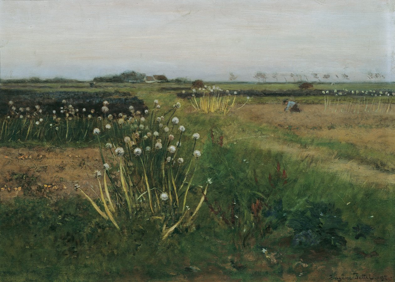 Blomstrende løgmark af Eugen Jettel