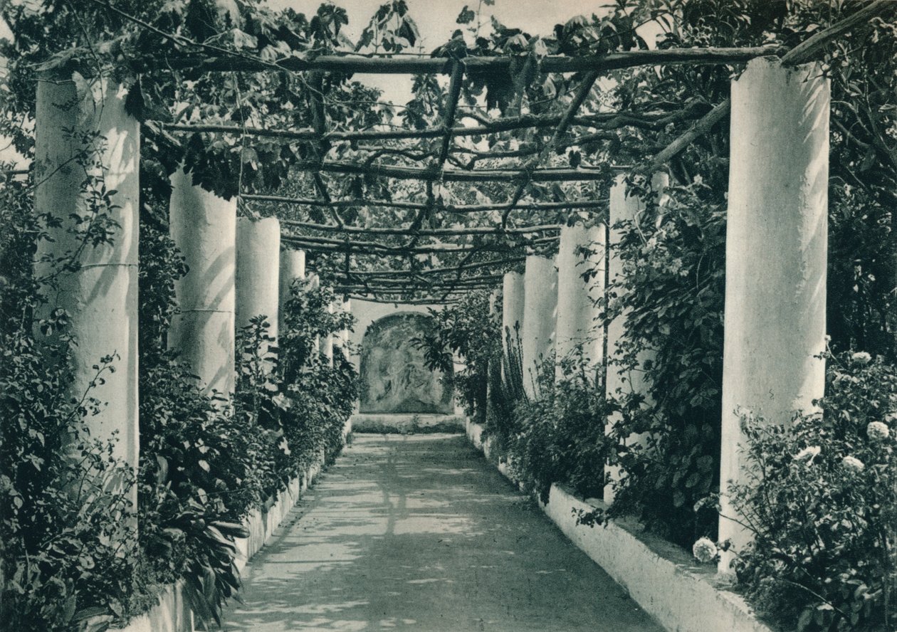 Pergola i en vingård, Capri, Italien, 1927 af Eugen Poppel