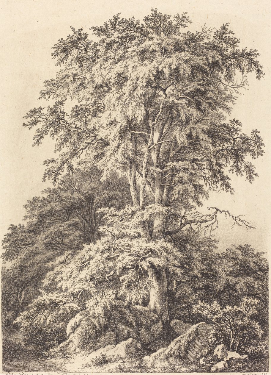 Bøgelund af Eugene Bléry