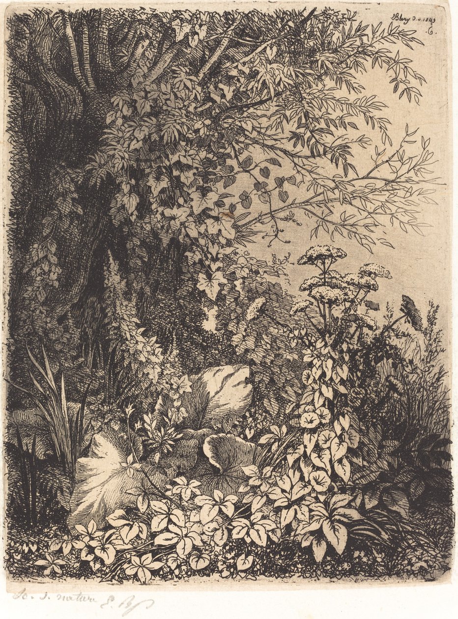 La bardane au saule (burdock med pil) af Eugene Bléry