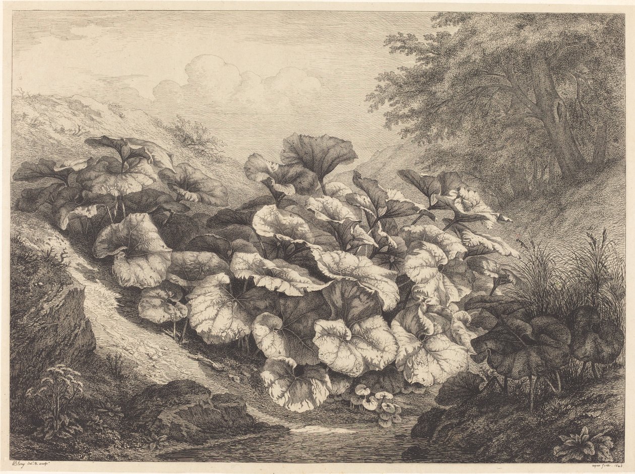 Stor følfod, 1843. af Eugene Bléry