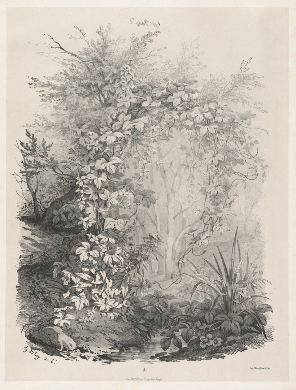 Planter og Ivies ved en Strøm af Eugene Bléry