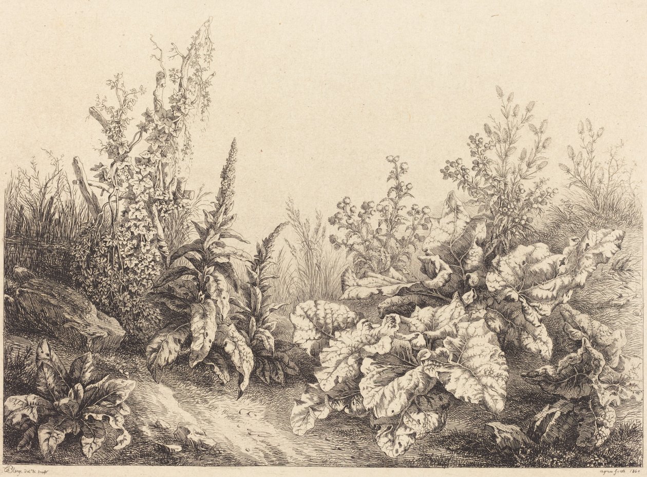 Studie af en burre, 1840. af Eugene Bléry